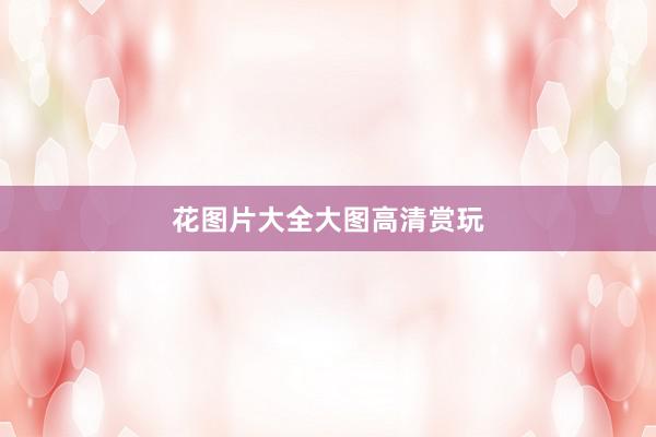 花图片大全大图高清赏玩