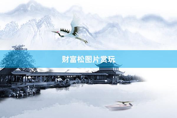 财富松图片赏玩