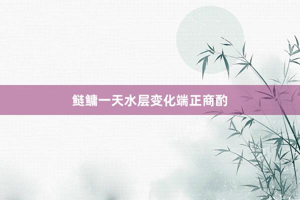 鲢鳙一天水层变化端正商酌