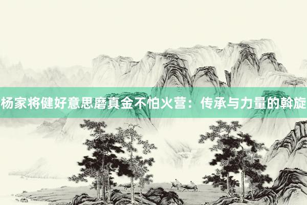 杨家将健好意思磨真金不怕火营：传承与力量的斡旋